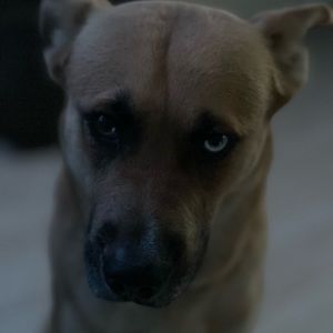 Meet your Posher, Aaden